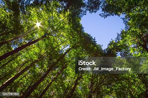 iStock 
